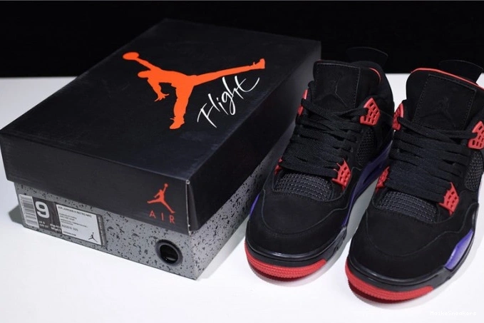 MaikeSneakers NRG Retro Air Raptors